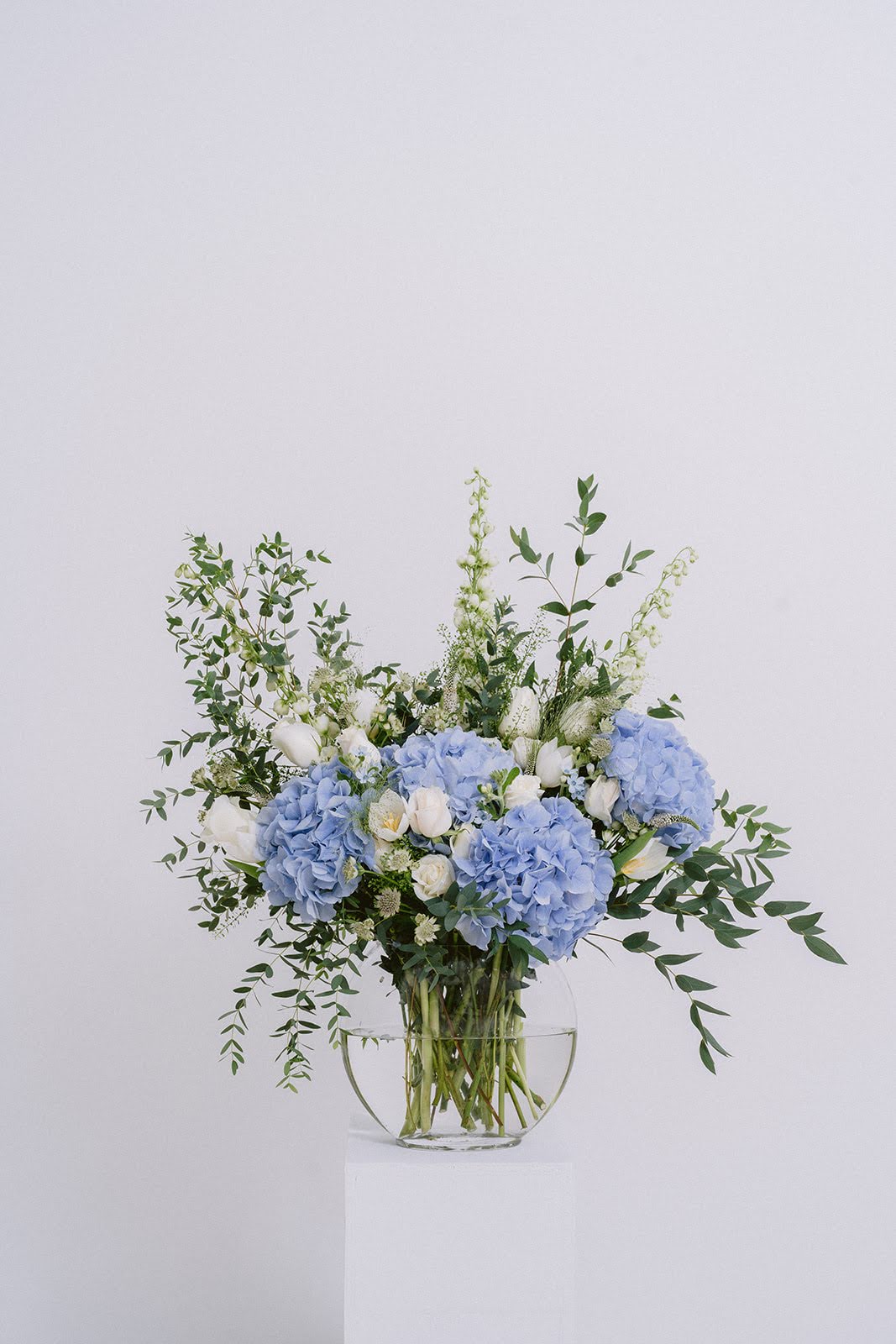hydrangeas flower